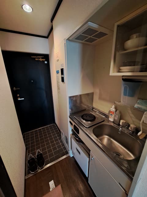A compact kitchenette with a sink and stovetop is situated in a narrow hallway next to a black front door.