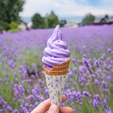 Purple ice cream cone held in hand, in front of lavender field.