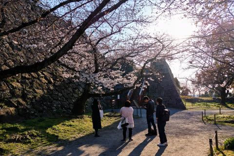Four people view a stone structure and cherry blossoms.