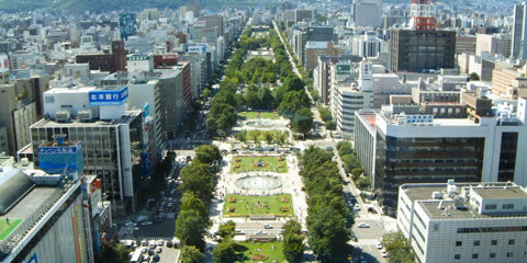 Aerial view of a city park and long avenue lined with buildings and trees.
